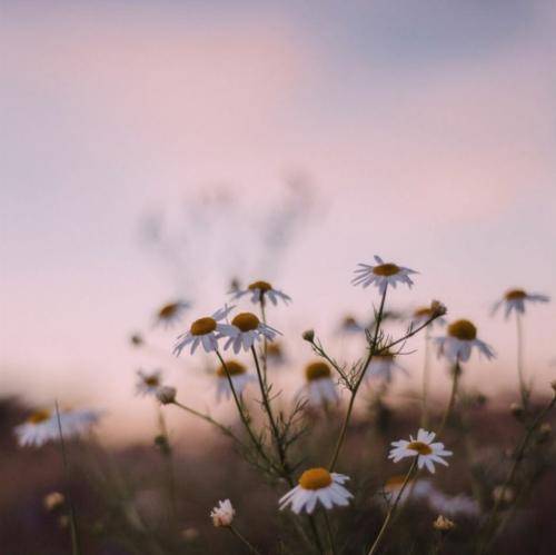 اگه میشنوی صدامو تا جوونیم یه حالی بهمون بده