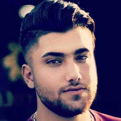 حامد سنجابی مسه مسه باده بم وه ایره پیاده بم