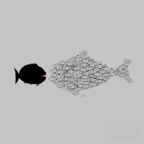  ای در و دیوار میکنه آدمو روانی