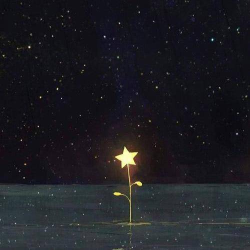  گفت یه امشب گرگ‌ باش توو جشن بره ها
