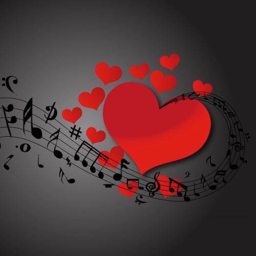  برنده منم با سند و ورق دوسم دارن وقتی درنده ترم