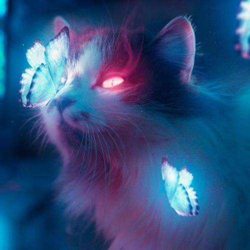  بچه ی سینه باتوم و ترساش و صاف گذاشت توو کمر نامردا