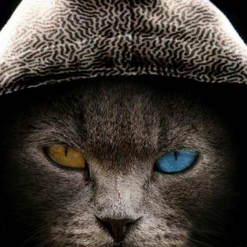  هنوز هیچکی نی سد راهم حتی اگه اوضاعم باشه بد
