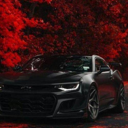  از پدری بخون كه صد هیچ باخته بود به سرنوشت