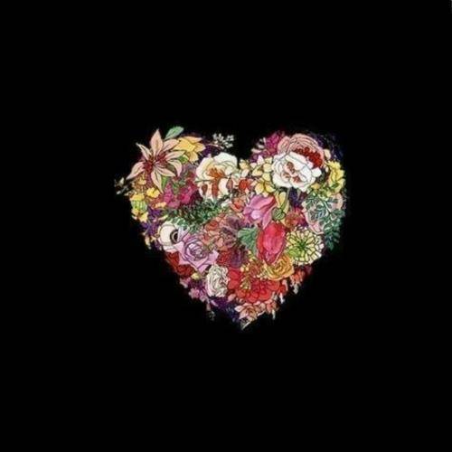  رز قرمزن همه من رز سیاهم عشق میکنم سیسم نداره