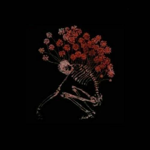 گل لاله پژمرده شده خیلی وقته غرق خونه اینستایی