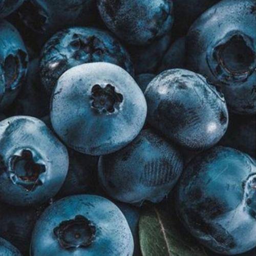  پرسیدن اگه ازت بگو نیست دیگه رفیقم یه روز وودکا