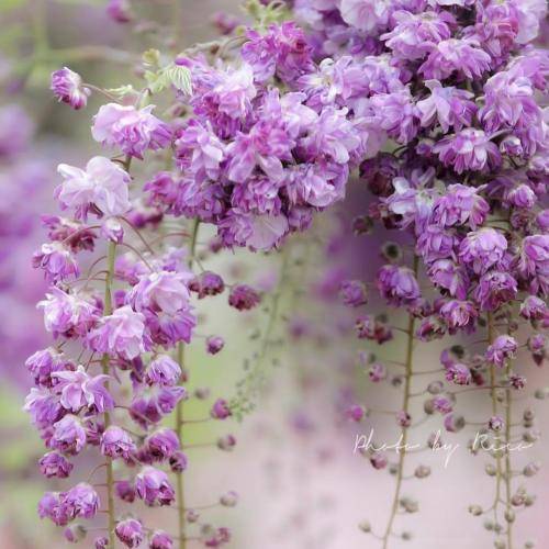 بری زندگی چی داره برام حتی یه دقیقه ام زیاده برام با صدای دختر