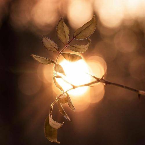  واسه همین هم تو دست هات حبس ابده