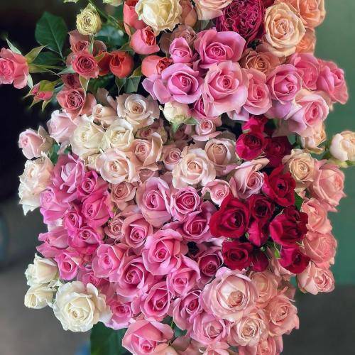  از اون اول بسم الله که بودم لای