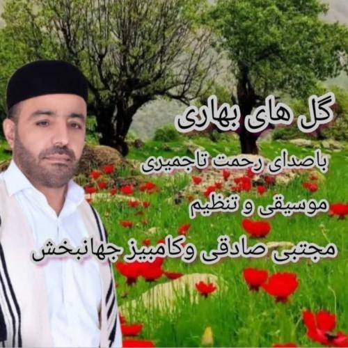 رحمت تاجمیری گلهای بهاری