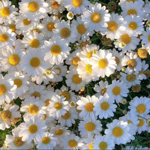  عذاب میدی مارو حال میکنیا اصلا رحم نداریا