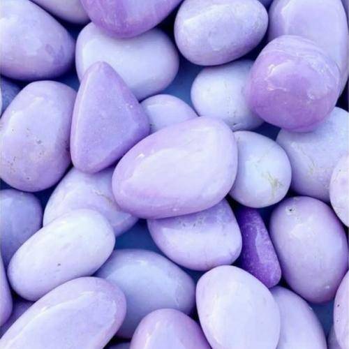  خیالی نی میگم بکشن بیرون اون رنجو رنجو