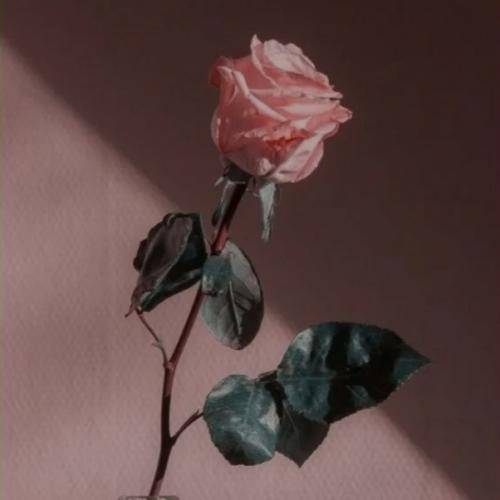  انگاری رسما تو رفتی که رسمی حرف میزنی