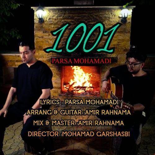 پارسا محمدی 1001