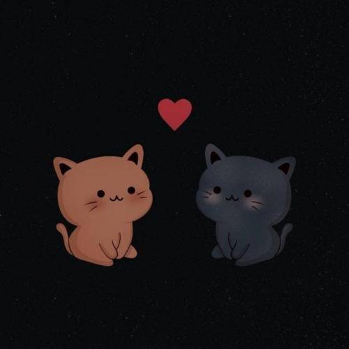  ای ماه شبم ورد روی لبم قمرم قمرم