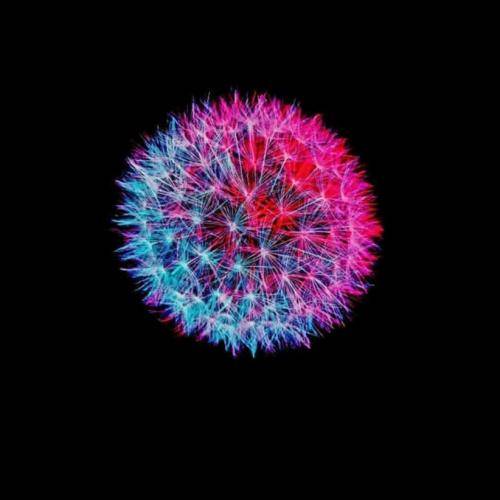  من گم شدم توی دنیای تو هرچی که هست برا تو