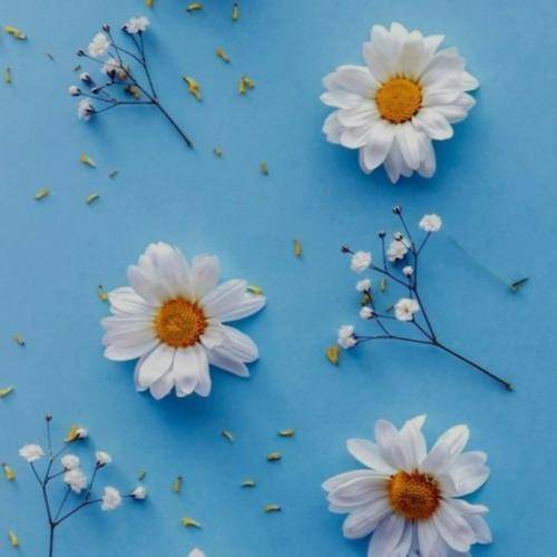  این من بودم هربار واسه تو یکی بارید اشکام