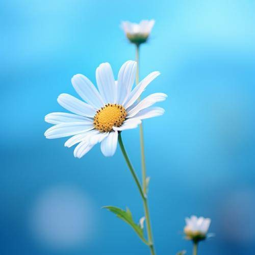  این عشقه تو آخر چه خونی به جگر کرد با صدای زن