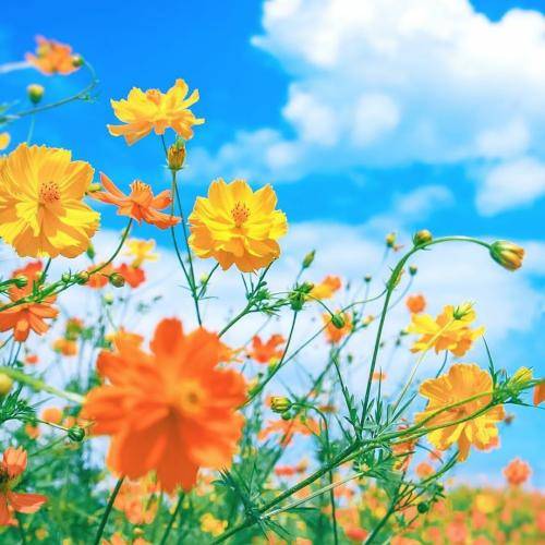  دیگه پیشت نمیام توجهتم نمیخوام
