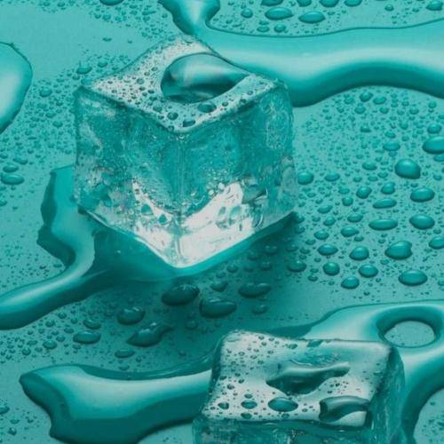 سایا و رضا سنگ صبور