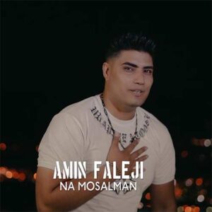 دانلود آهنگ جدید نا مسلمان از امین فالجی
