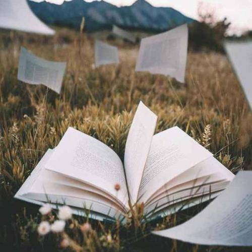  از دور می دیدمت اره توهم حواست بود