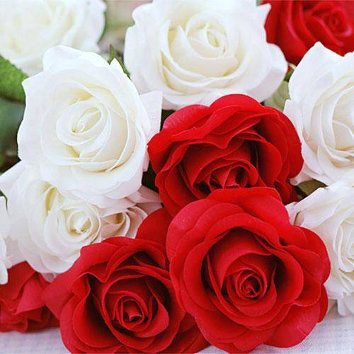  دیشب داشتم خوابتو من میدیدم