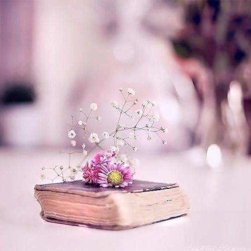  من احساسات رو به حداقل میرسونم