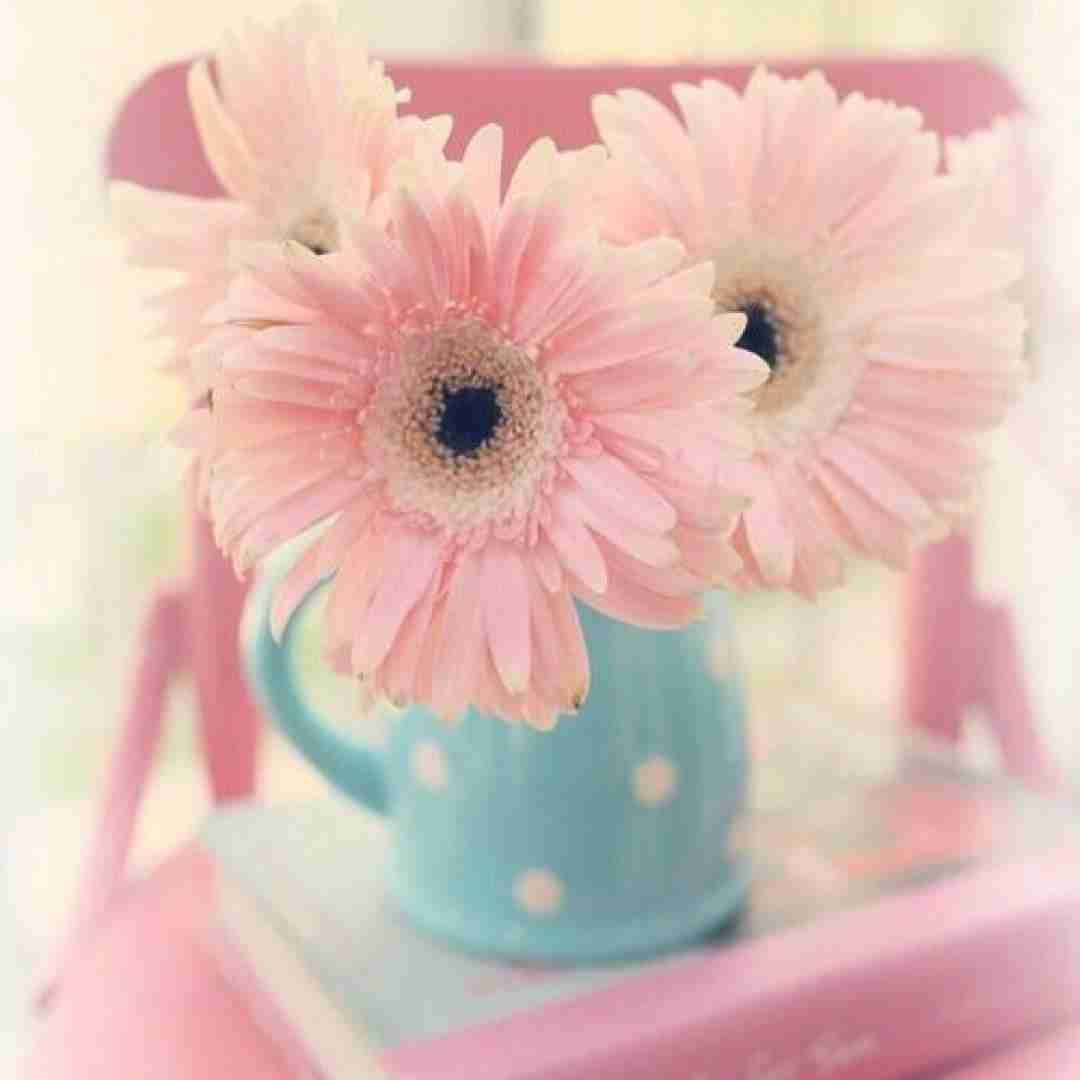  اشیل گلبی اضبه تعبنی الله ایتعبه