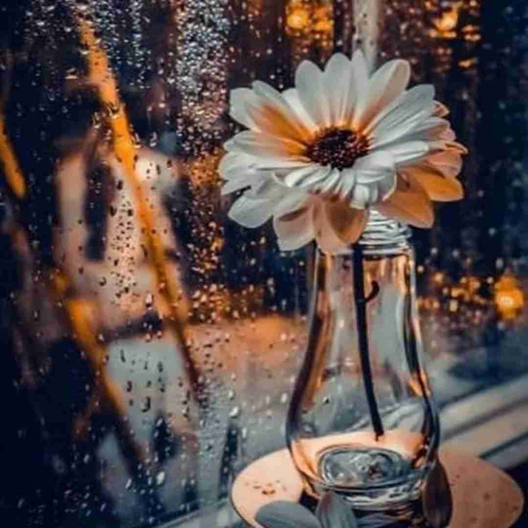  خیلی غریبی واسه من با صدای زن
