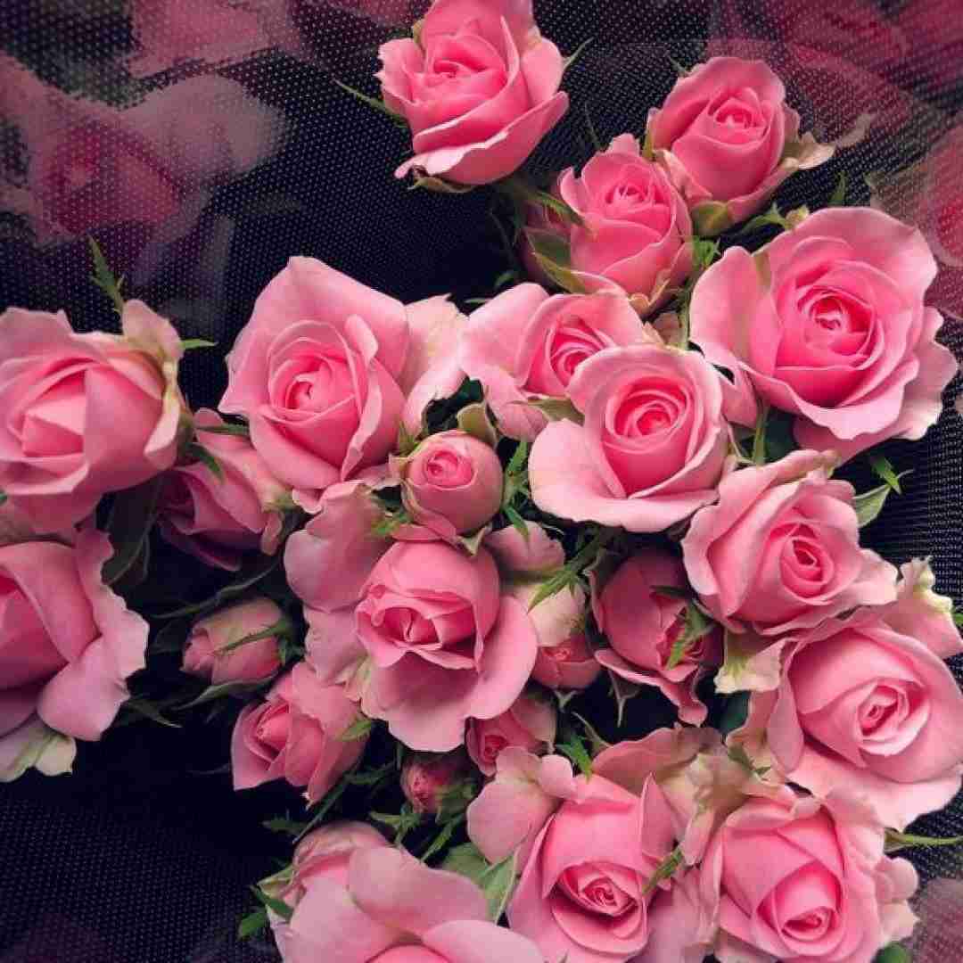  دوباره باز پاییز اومدو برگارو چید