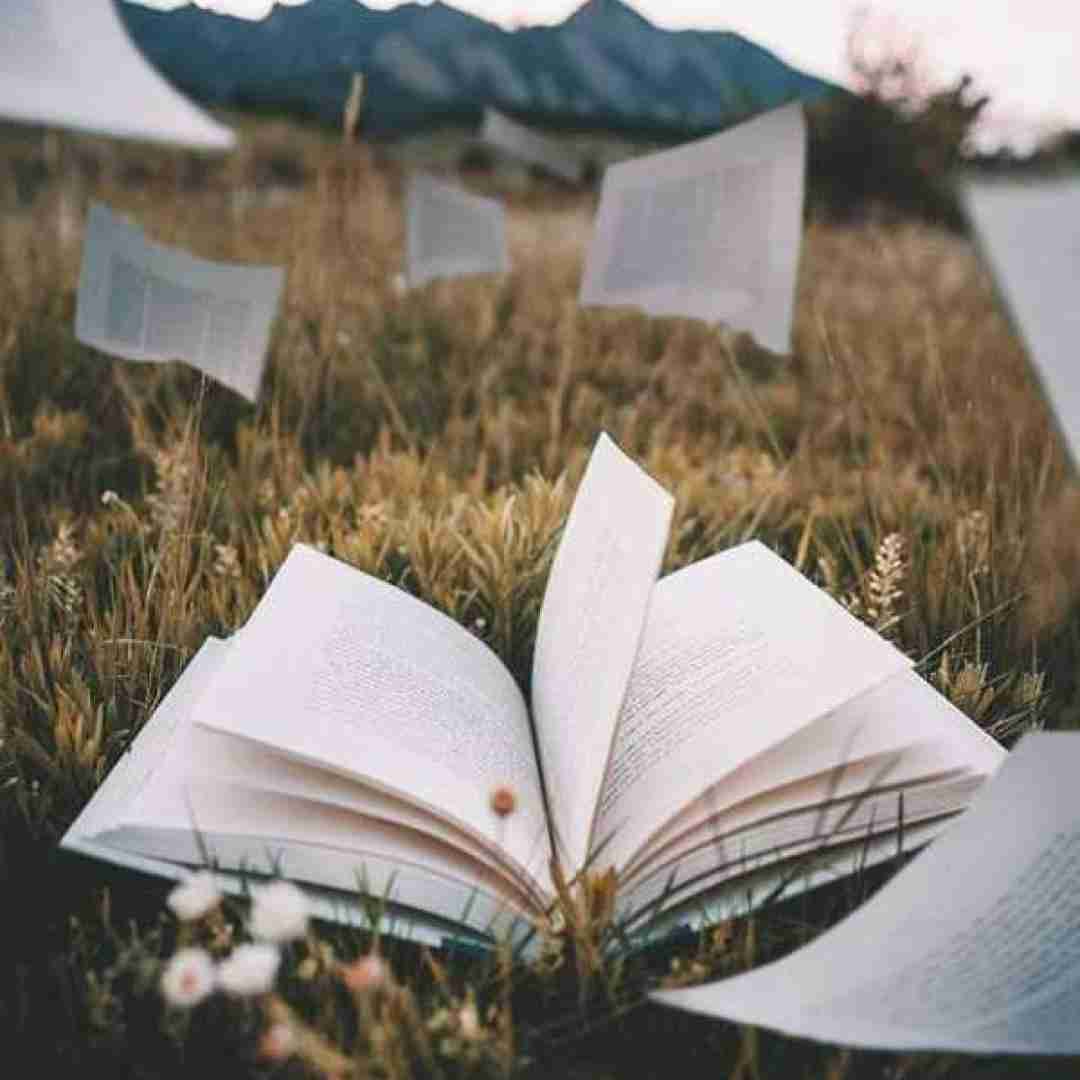  بامبیلی بامبیلی بیلی بام بام