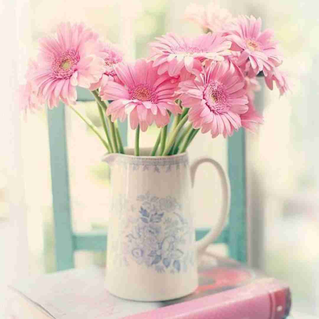  فریاد میزنم از عمق وجودم کلی حرف دارم پشت سکوتم