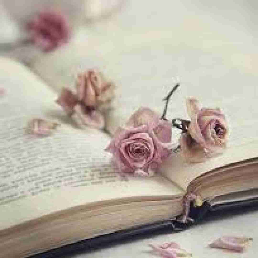 ایوب قلعه ارای منه فقیر و ناو دل تو جا نیه دی