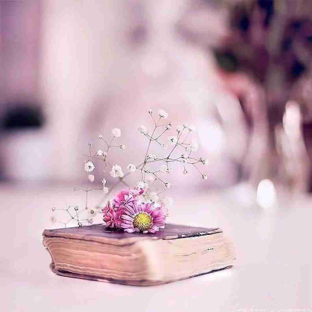  عربی اشیل گلبی اضبه تعبنی الله ایتعبه