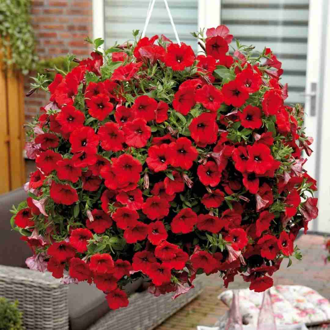 بهم قول بده وقتی که نیستی نیاد تو بغلت جای من هیچکی