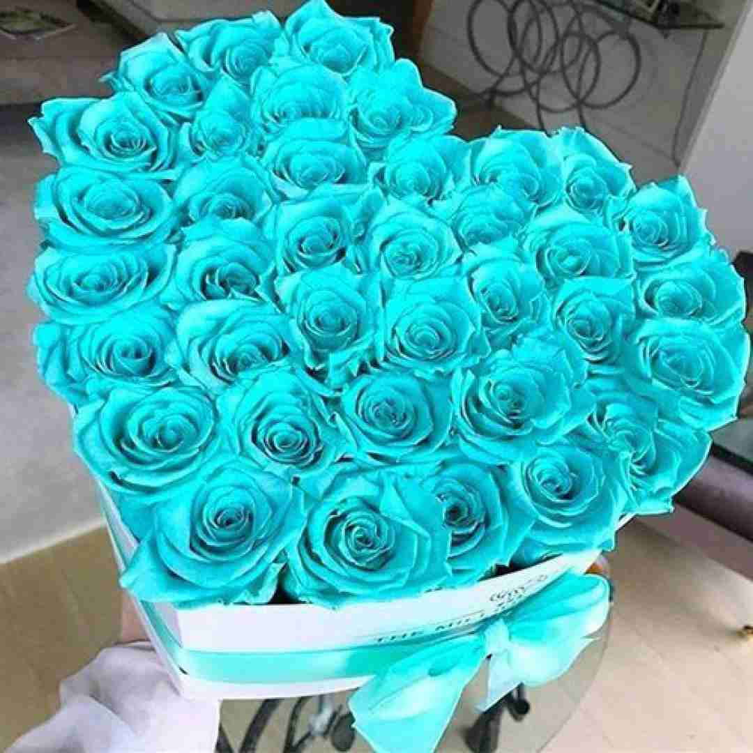  تو چشام اشک نمونده که بشورمش چشامو