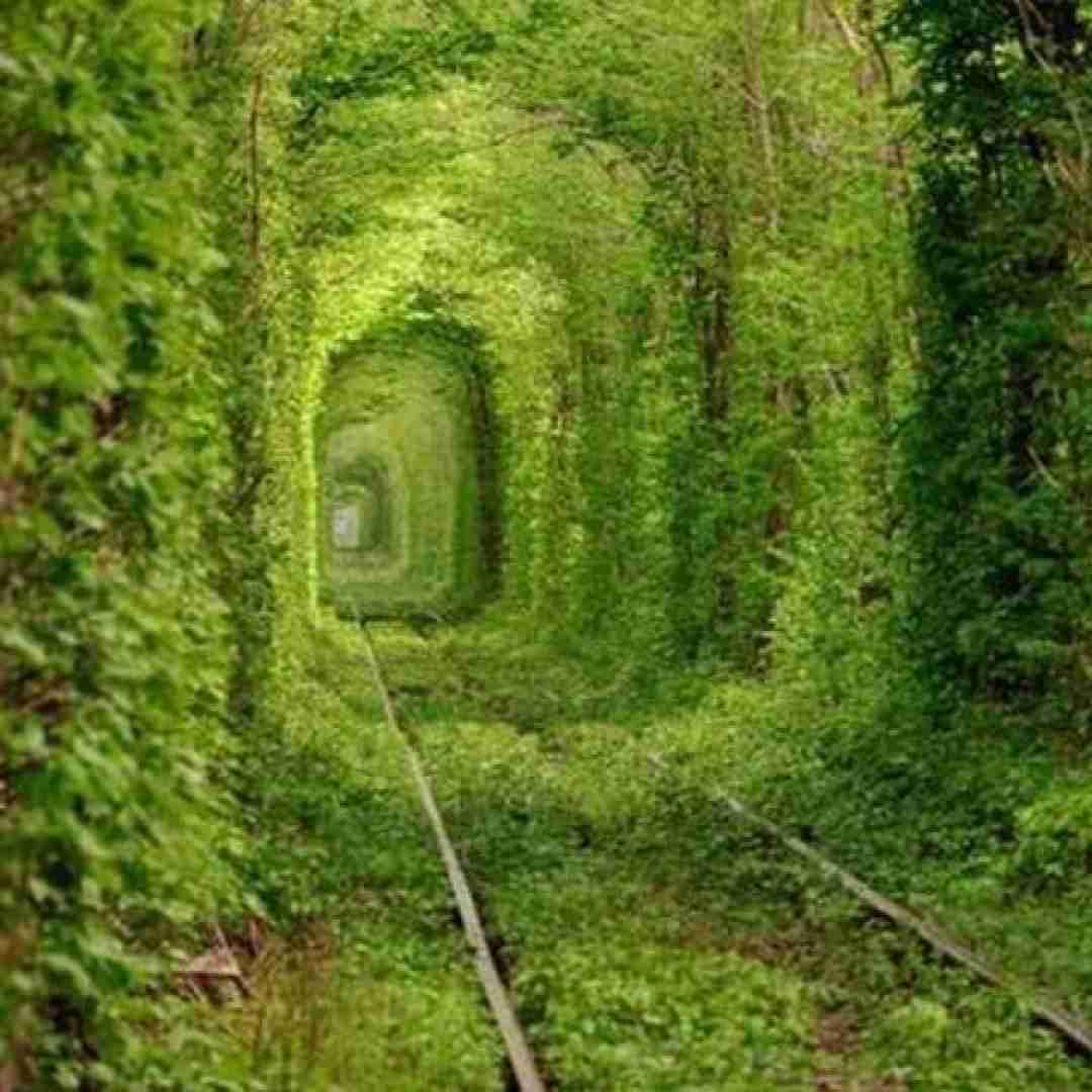  یه امشبو سینگلیم ما یه امشبو سینگلیم ما