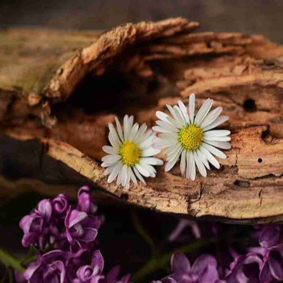  هر دو از یه سیاره ایم بازگشت به اون حماسه ایم فرا زمینی تو جانو دینی