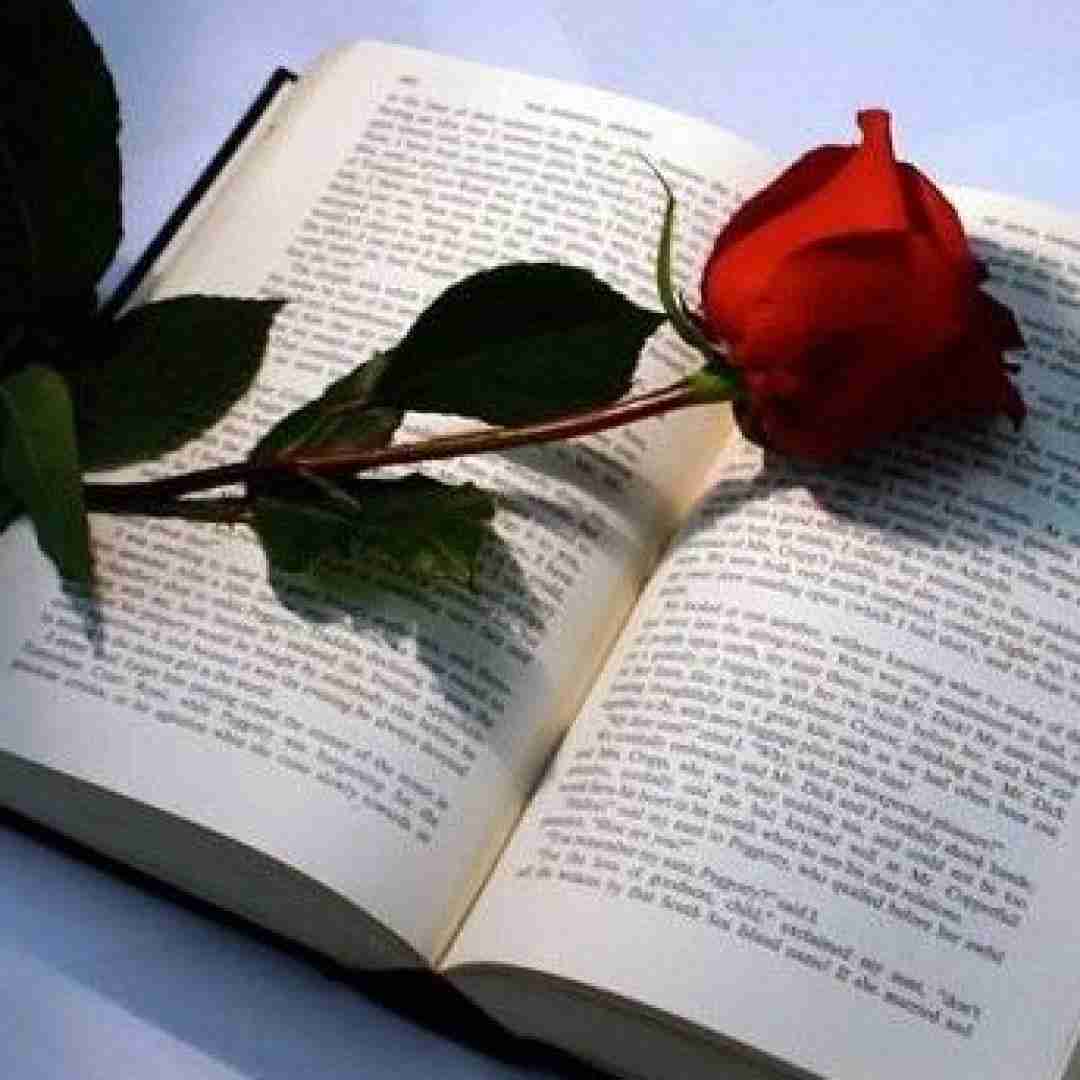  هیشکیم نمیخوام من دیگه غیر تو