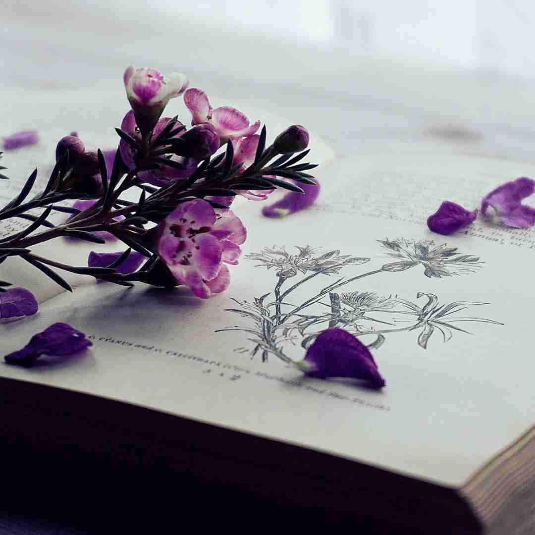 ایوب قلعه زانی عزیز الان که خالیه جیب