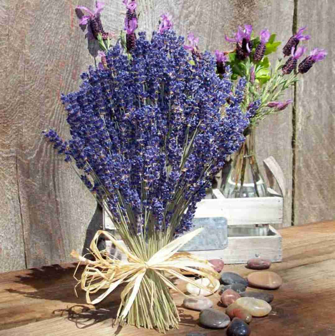  ته سر یک خال موره با صدای پسر بچه