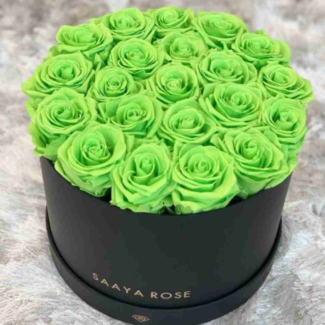  ازت یادگاری دارم تو گردنم میخوام یاد تو بیفتم تو هر دمم