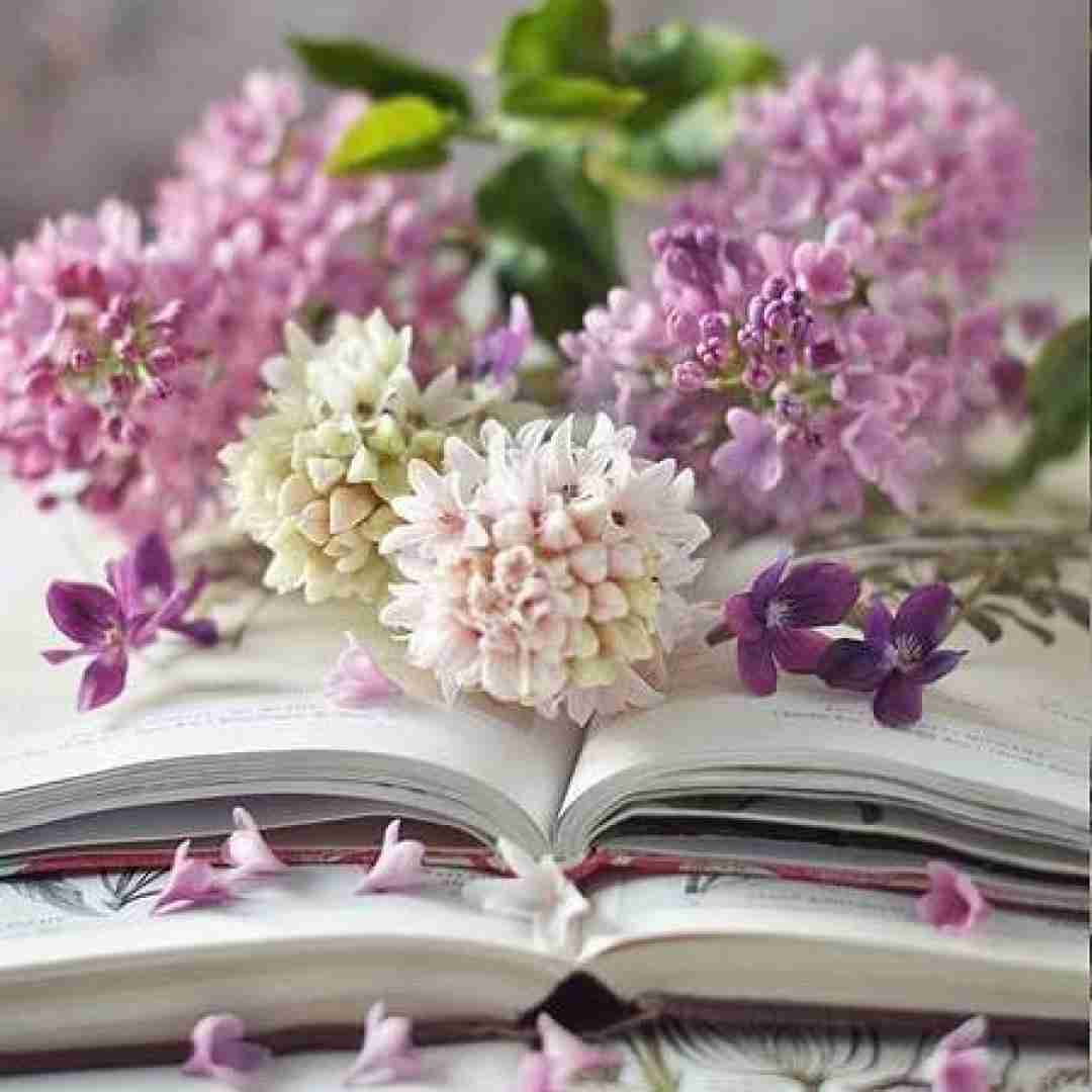  قر بده جا اینکه بگی جفنگ