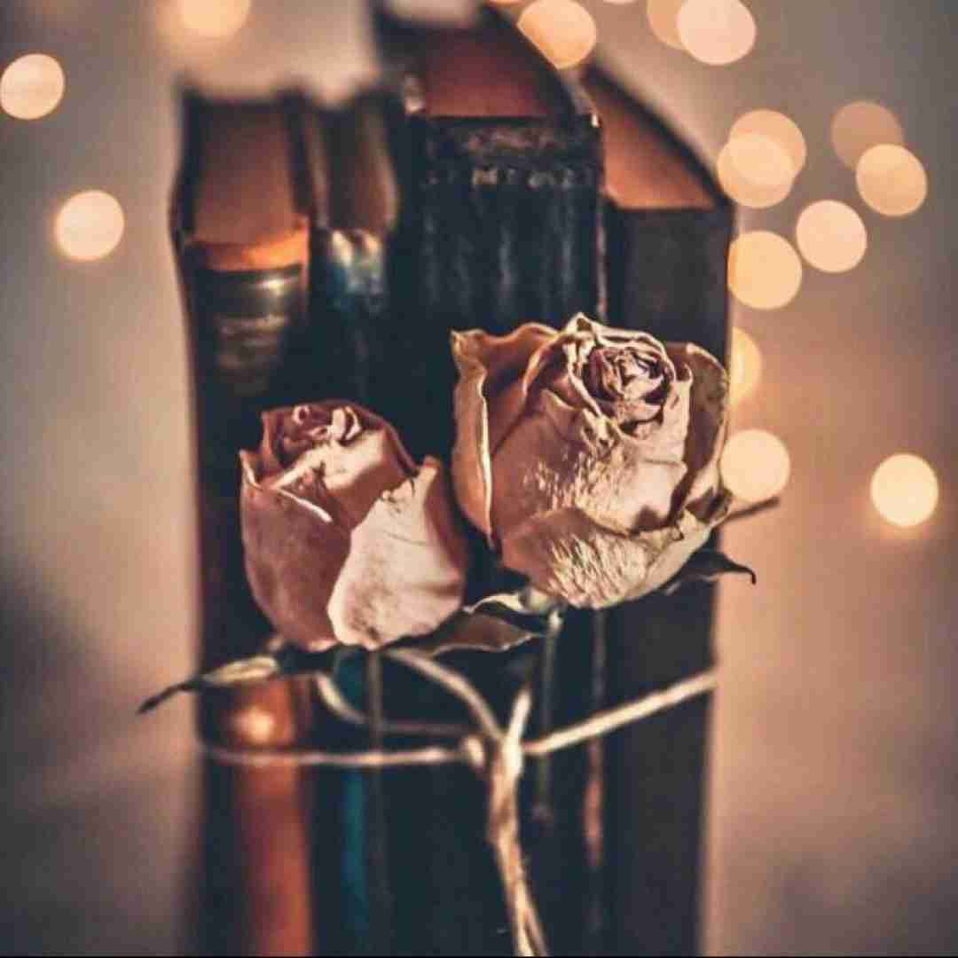 تا ترکامون میشه ریلیز بوی درتون بمالید گیریس