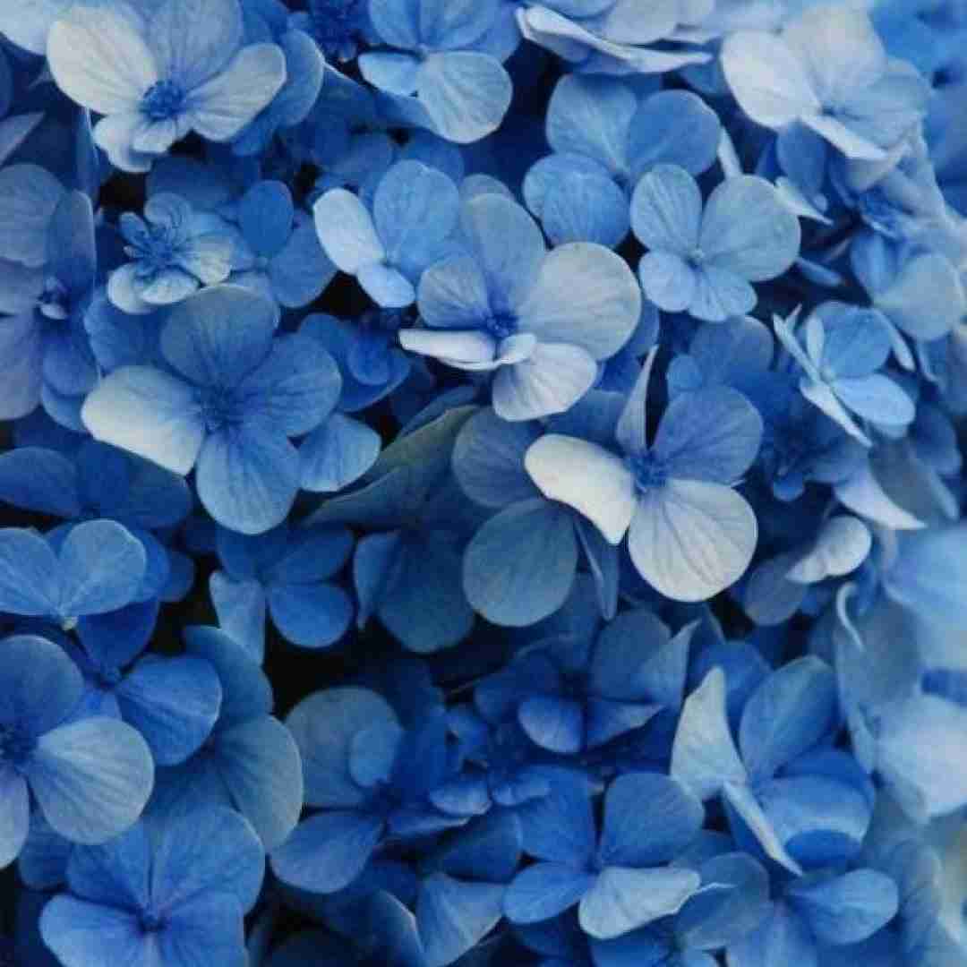  تو رفتی دگر ماه و آیینه خداحافظ با صدای پسر بچه