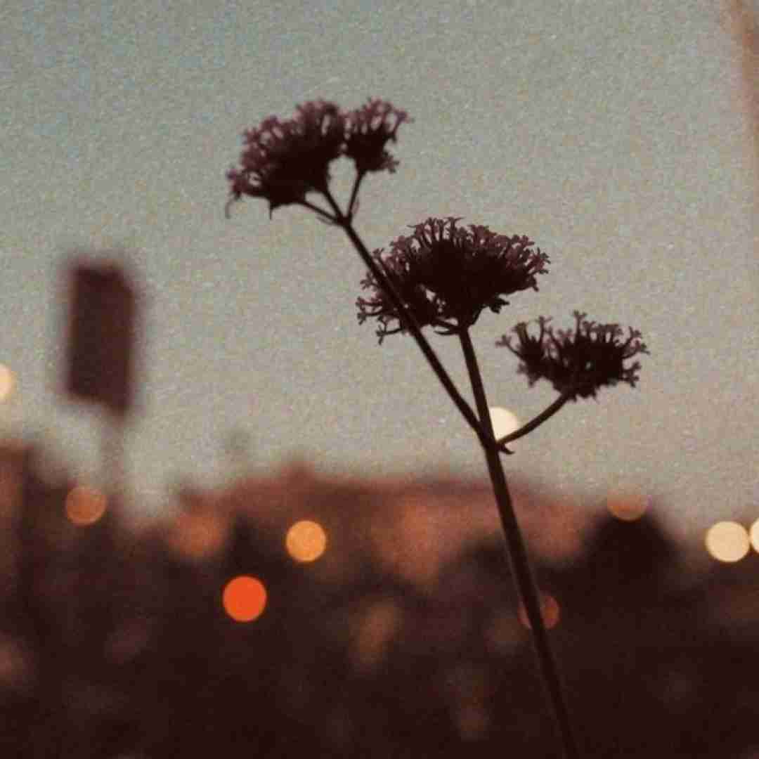 خودت میری ولی نگاهت تو ذهن من میمونه