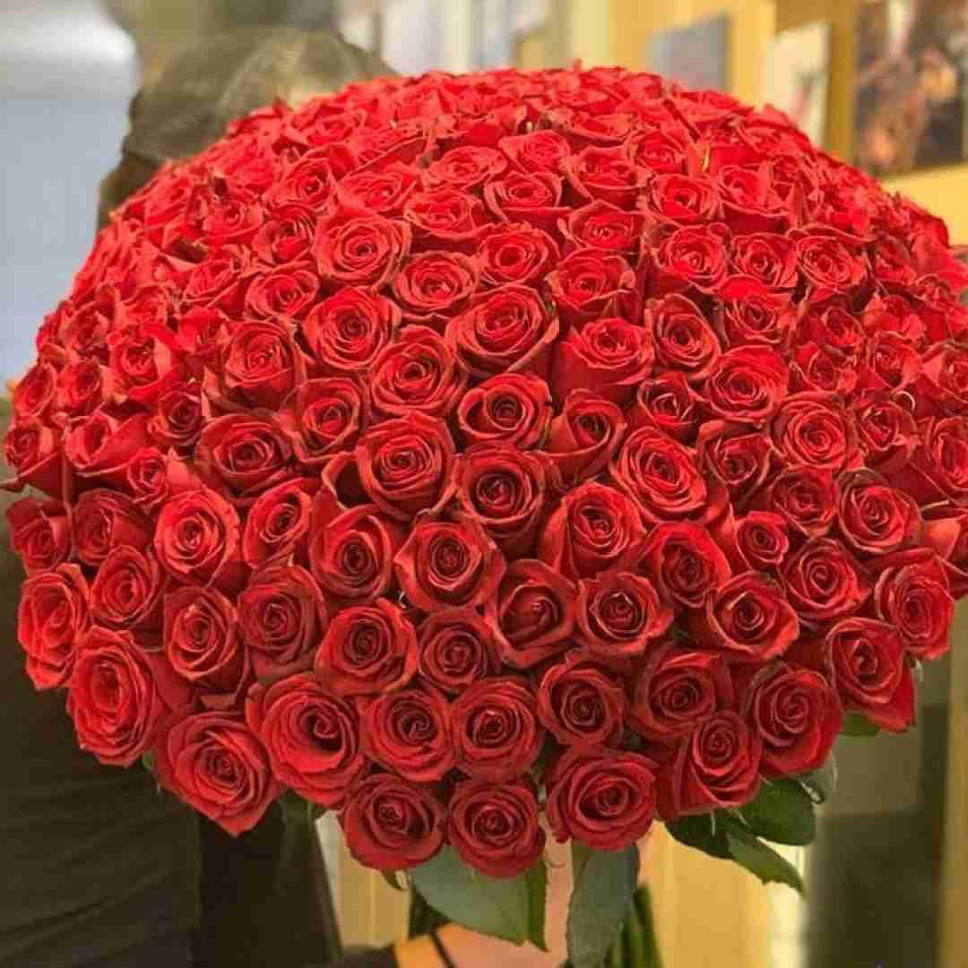  حبیبی هنو گنگ ندیدی استراتژیک مثل جنگ صلیبی