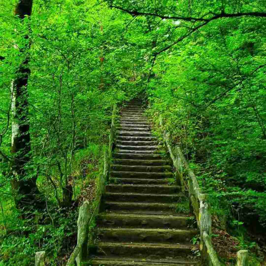  لری اخم نکو کوچکله وقتی خنت خوشگله